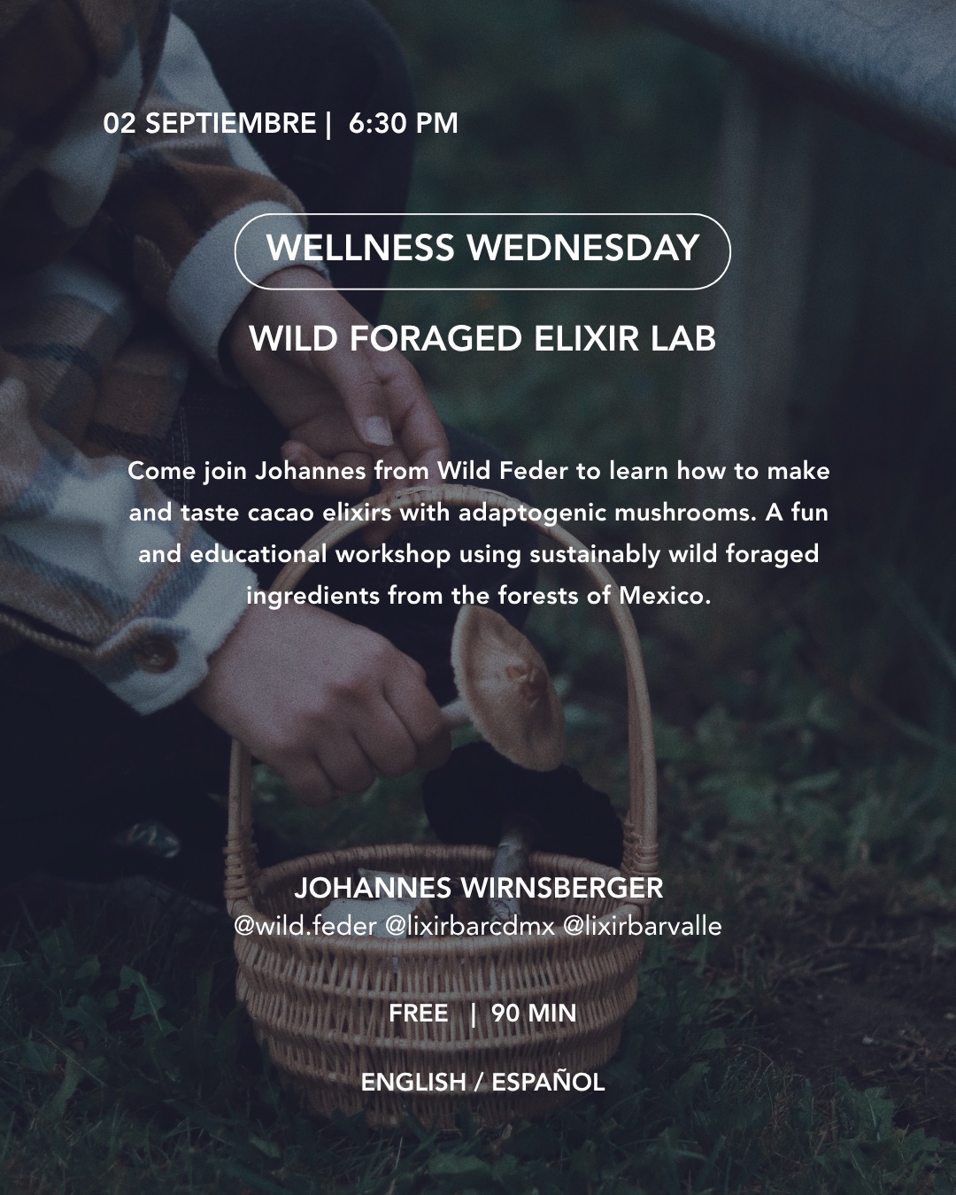 Koti Condesa September 2 2026 Wild Foraged Elixir Lab event flyer